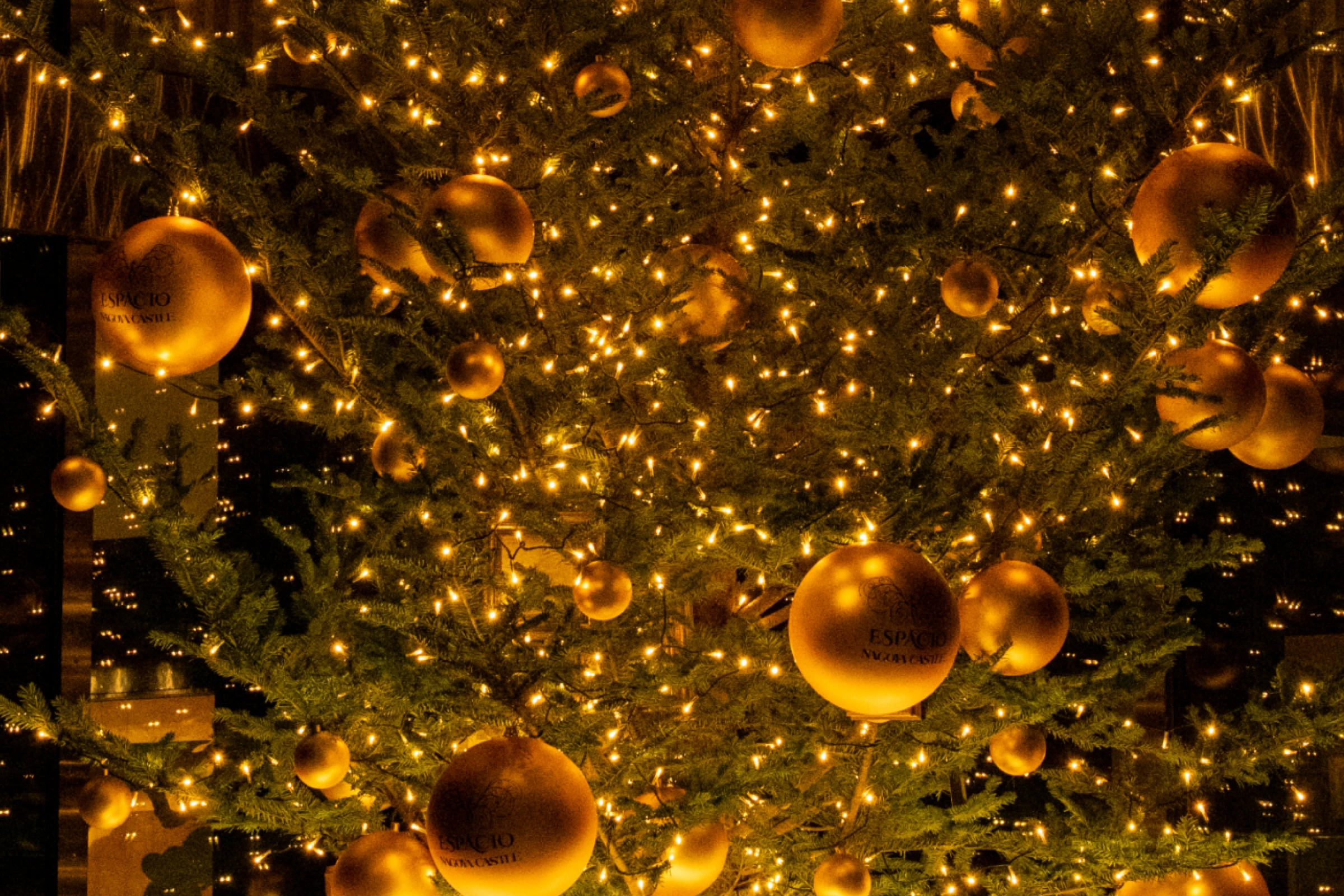 クリスマスツリー